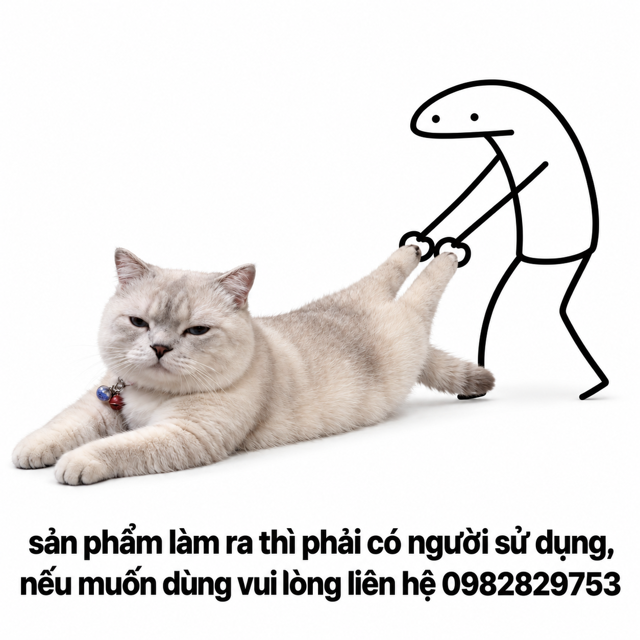 CHUNG EDU
